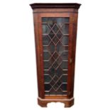 A 20TH CENTURY GEORGE III DESIGN OAK FLOORSTANDING CORNER CABINET With a single aster glazed door