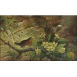 AN EARLY 20TH CENTURY WATERCOLOUR, ROBIN AMONGST FOLIAGE Indistinctly signed, framed and glazed. (