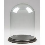 A VICTORIAN GLASS DISPLAY DOME UPON EBONISED PLINTH. (h 28.5cm x w 22.5cm x d 22.5cm)