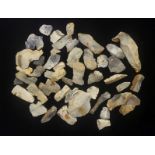 A COLLECTION OF FORTY EIGHT MESOLITHIC PERIOD, 10,000 - 3500BC, FLINT DEBITAGE PIECES Registered