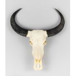 A LATE 20TH CENTURY WATER BUFFALO SKULL (BUBALUS BUBALIS). (h 83cm x w 69cm x d 17cm)