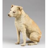 AN ENDEARING LATE 19TH CENTURY TAXIDERMY TERRIER DOG (CANIS LUPUS FAMILIARIS)