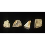 A COLLECTION OF FOUR MESOLITHIC PERIOD, 10,000 - 3500BC, BLADELET CORE FLINTS Registered with The