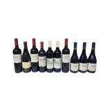 TEN 750ML BOTTLES OF VARIOUS SOUTH AFRICAN AND EUROPEAN RED WINES.