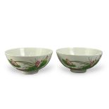 A Pair of duck and lotus Bowls, four character iron red Shendetang marks, 19th century or later, the