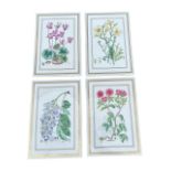 ROYAL WORCESTER. FOUR PORCELAIN WALL HANGING BOTANICAL STUDIES FROM THE THE WALL PLAQUE