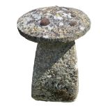 A 19TH CENTURY MUSHROOM SADDLE STONE. (46cm x 65cm) Condition: good overall, weathered