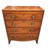 A 19TH CENTURY REGENCY MAHOGANY CHEST OF FOUR LONG GRADUATED DRAWERS Fitted with brass handles,