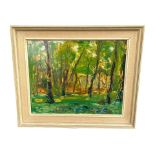 A 20TH CENTURY OIL ON CANVAS, WOODLAND SCENE Signed indistinctly lower left. (frame 46.5cm x 39cm,