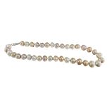 A LARGE STRING OF RINGED PEARLS, HAVING STERLING SILVER CLASP. (length 50cm x diameter 15mm)