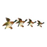 A MID 20TH CENTURY BESWICK POTTERY VINTAGE SET OF FOUR WALL PLAQUES MODELLED AS FLYING DUCKS Painted