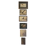 A COLLECTION OF SIX 19TH CENTURY CHINESE WATERCOLOUR ON RICE PAPER BIRD STUDIES Single exotic