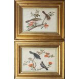 A PAIR OF 19TH CENTURY CHINESE WATERCOLOUR ON RICE PAPER, TWO PAIRS OF EXOTIC With flowers and