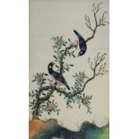 A 19TH CENTURY CHINESE WATERCOLOUR ON RICE PAPER, BIRD STUDY A pair of exotic birds with flowers and