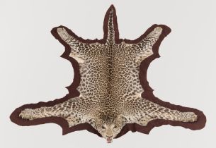 AN EARLY 20TH CENTURY TAXIDERMY LEOPARD SKIN RUG WITH MOUNTED HEAD (PANTHERA PARDUS). Provenance: