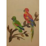 A 19TH CENTURY WATERCOLOUR AND FEATHER BIRD STUDY Pair of exotic birds, a red Parrot and green
