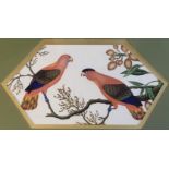 A 19TH CENTURY CHINESE WATERCOLOUR ON RICE PAPER, BIRD STUDY Parrots with berries and leaves, in