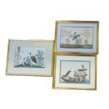A COLLECTION OF THREE 19TH CENTURY WATERCOLOUR ON RICE PAPER, BIRD STUDIES Landscape, pairs of