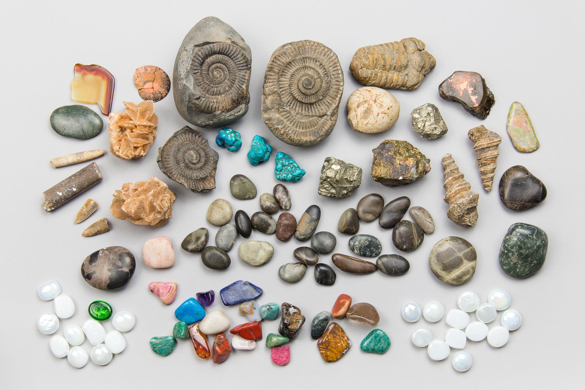 A COLLECTION OF FOSSILS, ROCKS AND MINERALS. Largest (9.5cm). Provenance: Private English