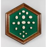 EIGHTEEN 19TH CENTURY GRAND TOUR PLASTER INTAGLIOS MOUNTED ON A LATER HEXAGONAL FRAME. (Largest