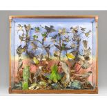 A LARGE AND IMPRESSIVE VICTORIAN TAXIDERMY DIORAMA OF SOUTH AMERICAN BIRDS. (h 83cm x d 26.5cm x w