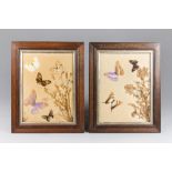 A RARE PAIR OF VICTORIAN RIKER BUTTERFLY FRAMED DISPLAYS. Paper trade label to verso. Specimen