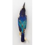A LATE 19TH CENTURY TAXIDERMY STUDY SKIN OF A FOREST KINGFISHER (TODIRAMPHUS MACLEAYII). Male
