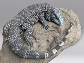 A FINE IMITATION TEGU UPON A NATURALISTIC BASE (TUPINAMBIS). An extremely rare and realistic hand