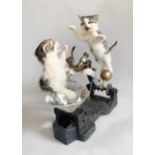 "AVARICIOUS", A TAXIDERMY ART DIORAMA. Two playful kittens fighting over a huge glass diamond