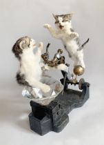 "AVARICIOUS", A TAXIDERMY ART DIORAMA. Two playful kittens fighting over a huge glass diamond