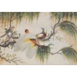 A 19TH CENTURY WATERCOLOUR ON RICE PAPER, PAIR OF EXOTIC BIRDS With willow trees and flowers, framed