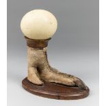 A MID 20TH CENTURY TAXIDERMY OSTRICH FOOT AND AN OSTRICH EGG. With egg (h 30cm). Provenance: Private