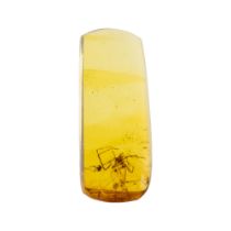 LARGE SPIDER WITH VENOM AND MOSQUITO IN CRETACEOUS BURMESE AMBER FOSSIL. (0.24g). Inclusions include