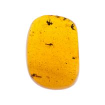 RARE 15 INSECT CEMETERY IN CRETACEOUS BURMESE AMBER FOSSIL. Inclusions include 15+ insects, 9