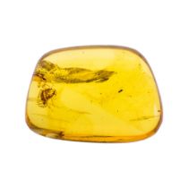 RARE COCKROACH LARVA IN CRETACEOUS BURMESE AMBER FOSSIL. (1.70g, 2.2cm). 90-105 Million years old (