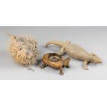 A GROUP OF EARLY 20TH CENTURY TAXIDERMY SPECIMENS INCLUDING A SPINY-TAIL LIZARD, A TORTOISE
