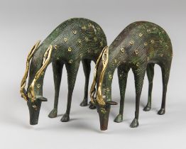 A PAIR OF 20TH CENTURY INDIAN BASTAR DHOKRA TRIBE STYLE BRONZE SCULPTURES OF CHITAL (SPOTTED