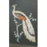 A LATE 19TH/EARLY 20TH CENTURY WATERCOLOUR AND FEATHER BIRD STUDY Peacock with white and turquoise