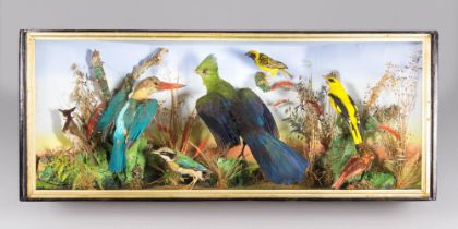 AN IMPRESSIVE LATE VICTORIAN TAXIDERMY CASE OF TROPICAL BIRDS. Colourful group of seven tropical