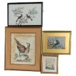 TWO 19TH CENTURY CHINESE WATERCOLOUR ON RICE PAPER, BIRD STUDIES Pair of exotic birds with green