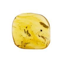 FOUR UNIQUE INSECTS AND COPROLITE IN CRETACEOUS BURMESE AMBER. (1.75g, 2.2cm). 90-105 Million