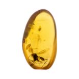 A LARGE WASP AND LEAF IN CRETACEOUS AMBER FOSSIL BURMITE. (0.34g, 1.7cm). 90-105 Million years