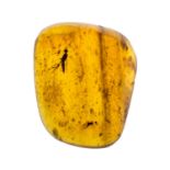 A LARGE WASP IN CRETACEOUS BURMESE AMBER FOSSIL. (0.80g, 1.8cm). 90-105 Million years old (mid to