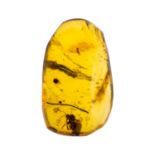 LARGE BEE/WASP IN CRETACEOUS BURMESE AMBER FOSSIL. (0.44g, 1.7cm). 90-105 Million years old (mid