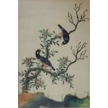 A 19TH CENTURY CHINESE WATERCOLOUR ON RICE PAPER, BIRD STUDY A pair of exotic birds with flowers and