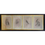 A SET OF FOUR 19TH CENTURY BLACK AND WHITE ENGRAVINGS OF BIRDS OF PREY, Comprising plate 1 Honey