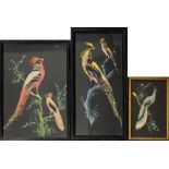 A COLLECTION OF THREE EARLY 20TH CENTURY WATERCOLOUR AND FEATHER BIRD STUDIES Exotic birds with long