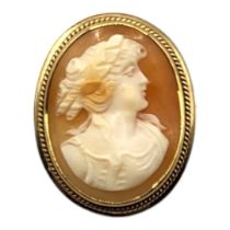 A LATE VICTORIAN 9CT GOLD MOUNTED HARDSTONE CAMEO BROOCH Carved with a classical bust of a lady,