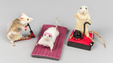 A COLLECTION OF THREE WHIMSICAL TAXIDERMY MICE. Comprising of ‘Henry the hoover mouse’, ‘scooter