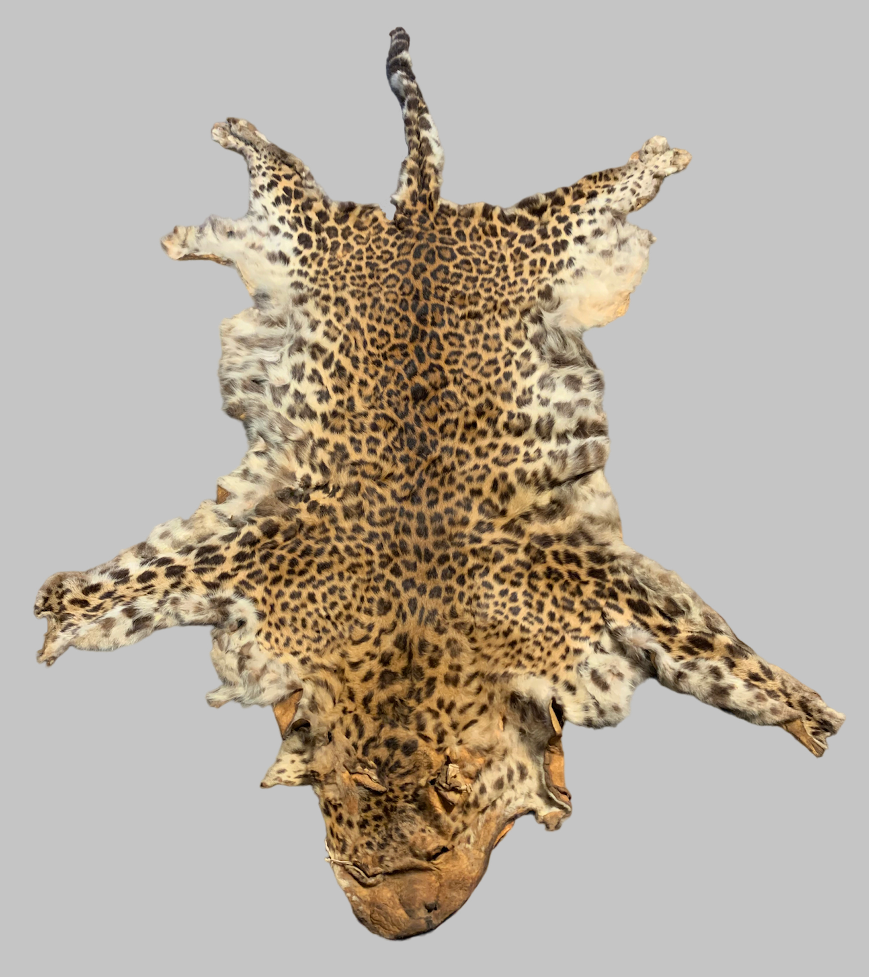 AN EARLY 20TH CENTURY TAXIDERMY INDOCHINESE LEOPARD SKIN RUG (PANTHERA ...
